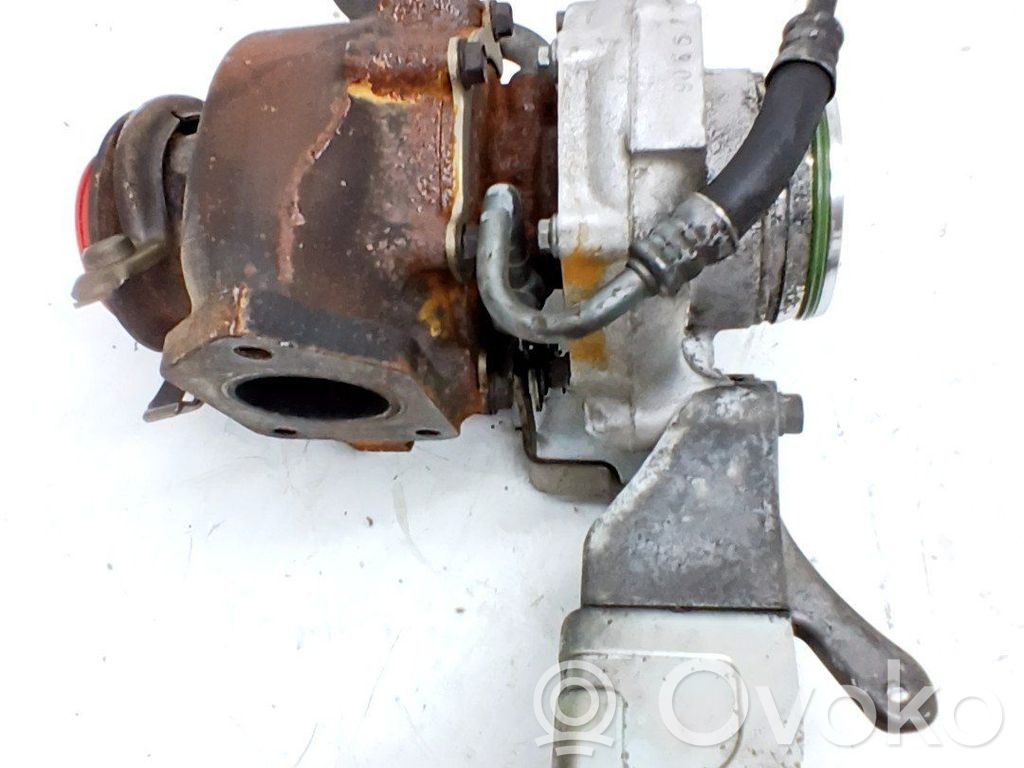 Turbo   11658506894
