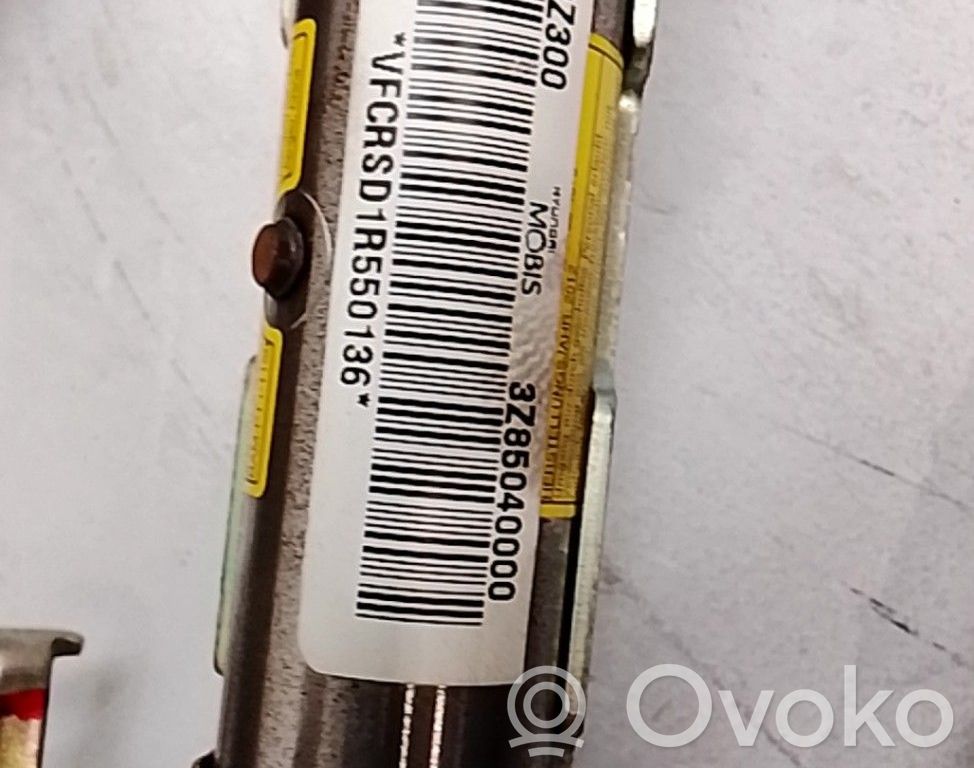 Airbag de toit   850203Z300