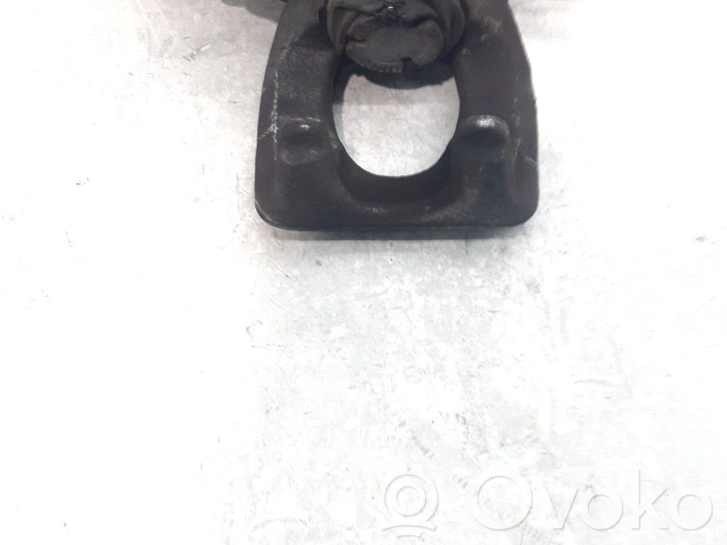 Takajarrusatula   440011959R
