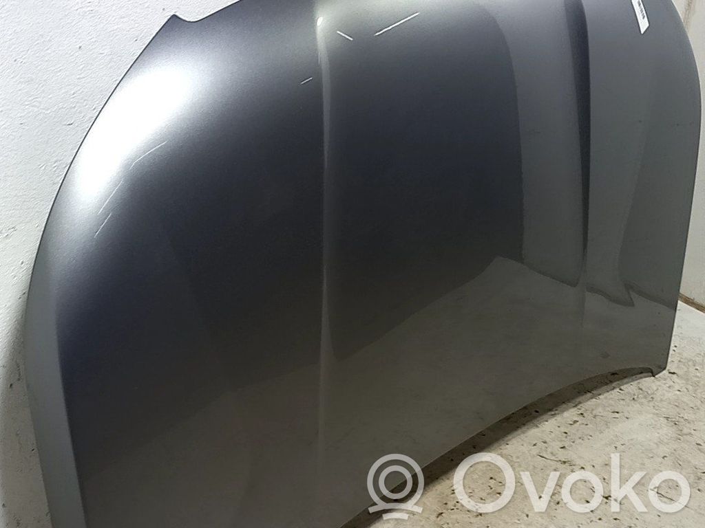 Motorhaube   9831044380