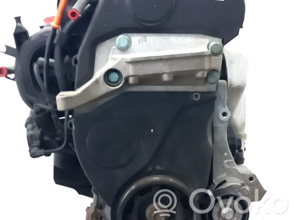 Seat Ibiza III (6L) Motor completo 