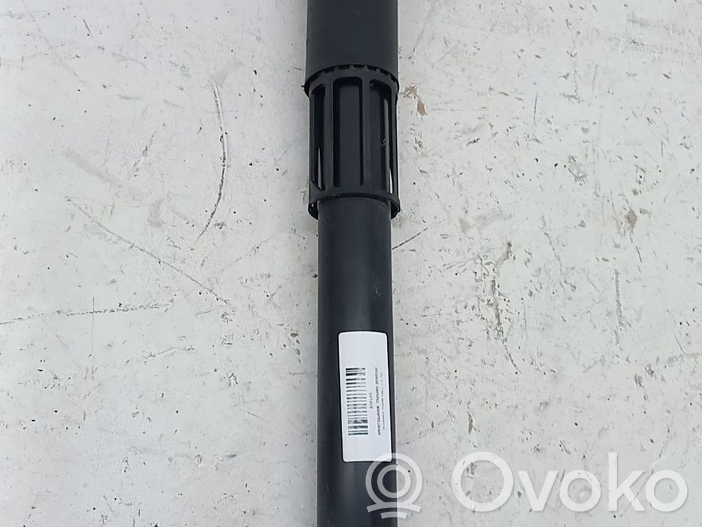 Amortyzator tylny   5QF513049BS