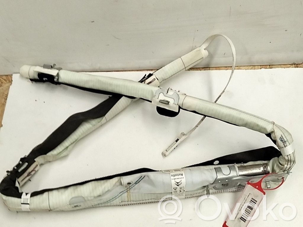 Airbag del techo   9804358980