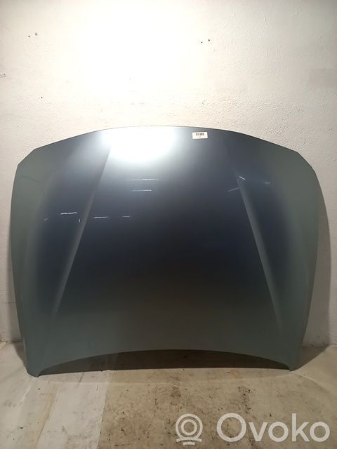 Capó/tapa del motor   41007290944