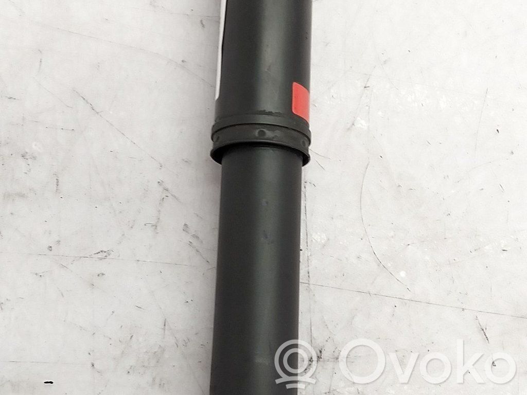 Stoßdämpfer hinten   562105336R