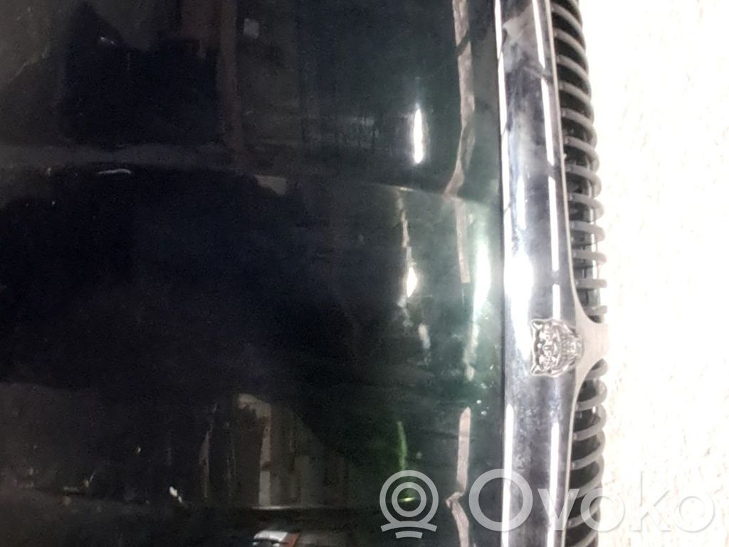 Jaguar X-Type Vano motore/cofano 
