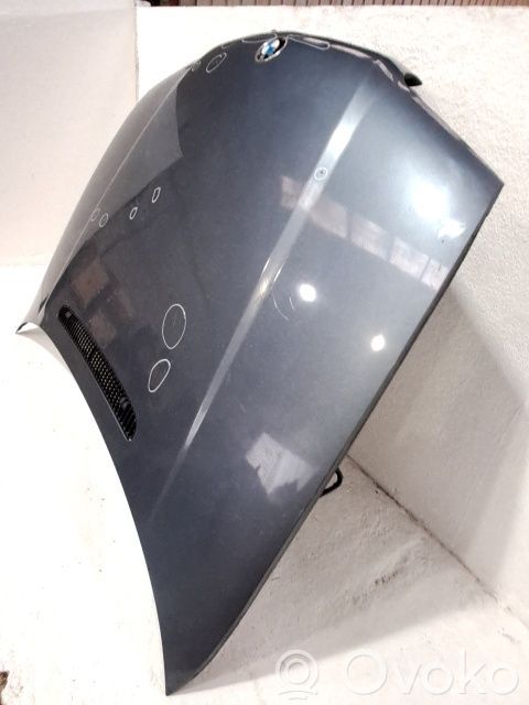 Capó/tapa del motor   41618238461