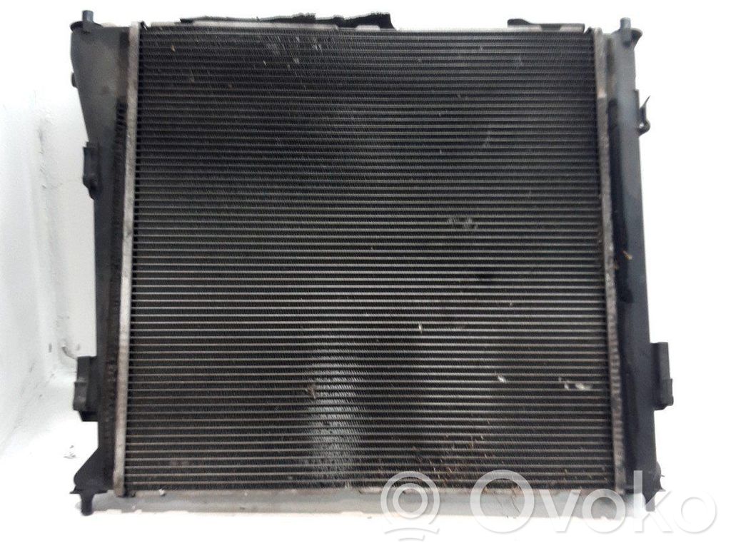 Radiatore di raffreddamento   253103Z850