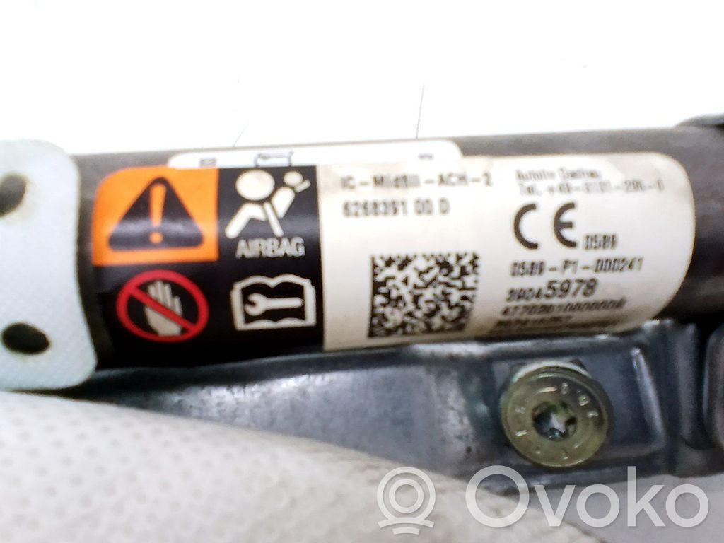 Airbag da tetto   39045978