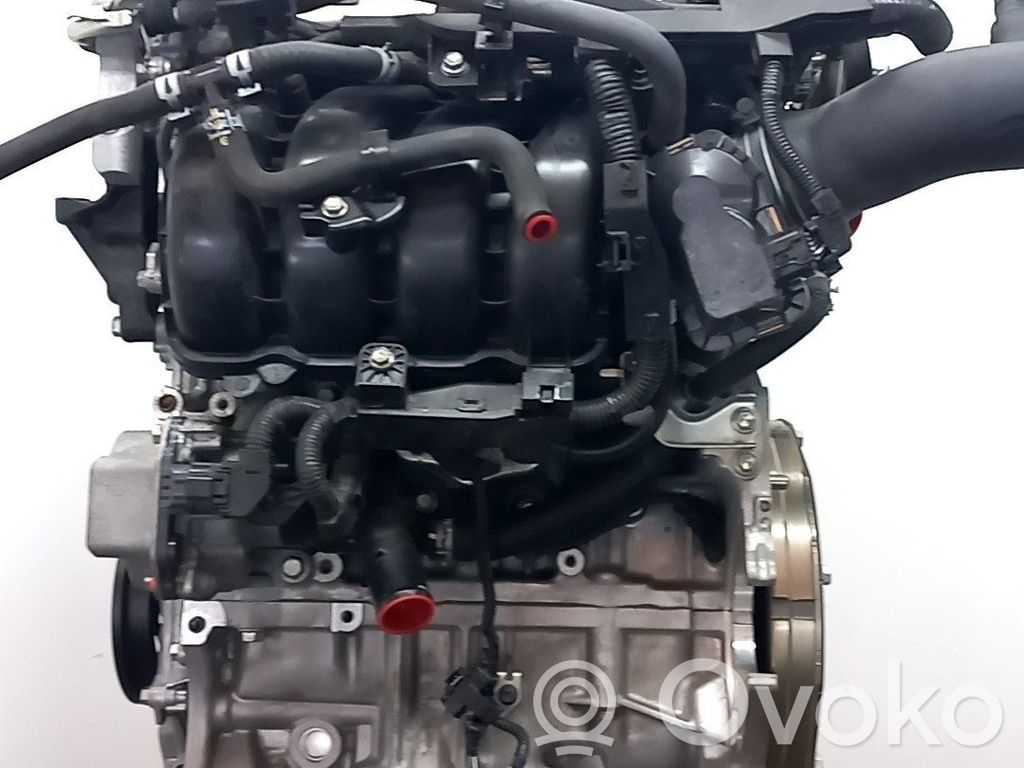 Austauschmotor   M20AFXS,1900024320
