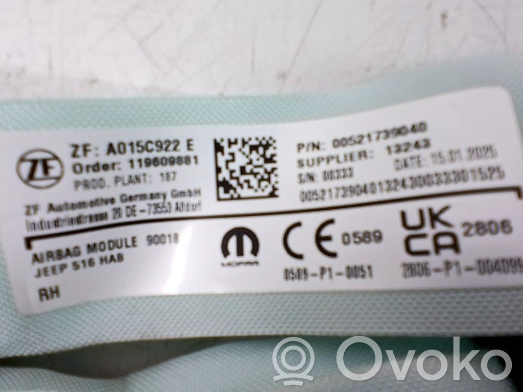 Airbag del techo   52173904,00521739040