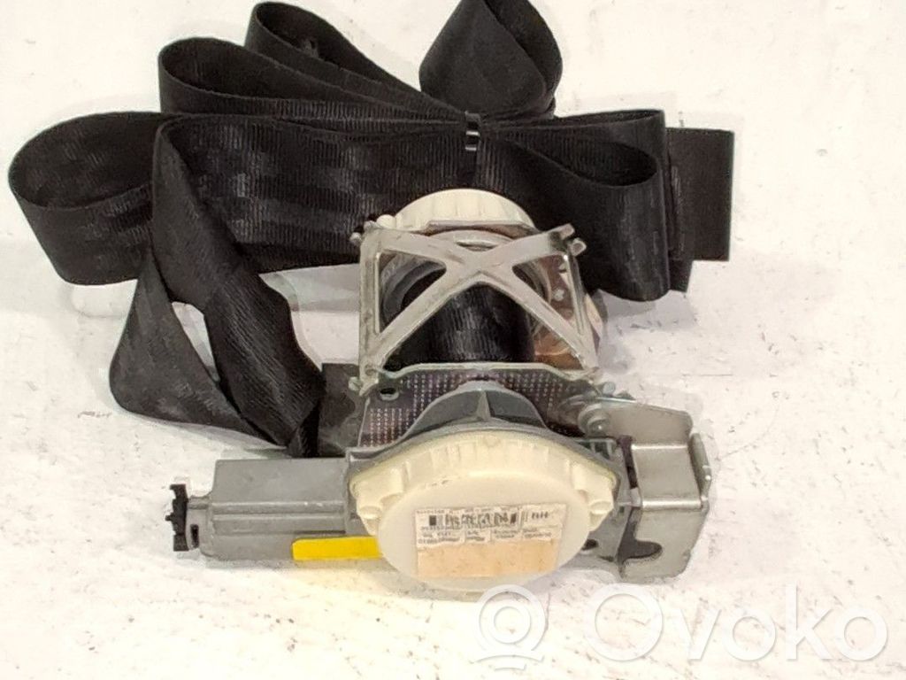 Cinturón delantero   735492572