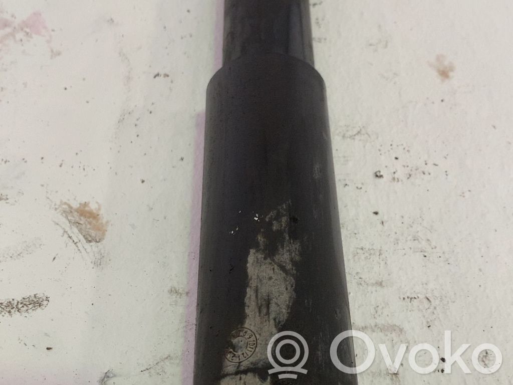 Stoßdämpfer hinten   1362548080