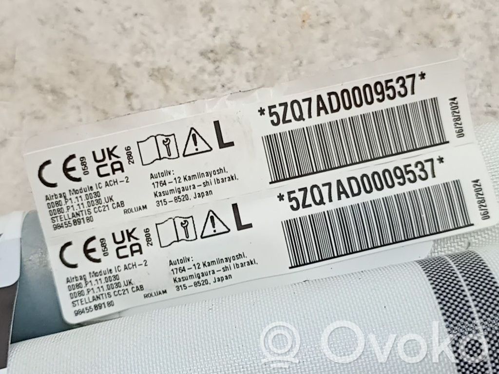 Kopfairbag   9845589180