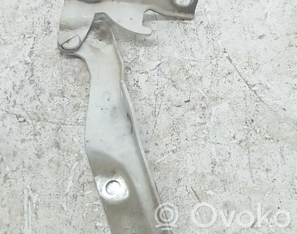 Fiat Doblo Balamale capotă