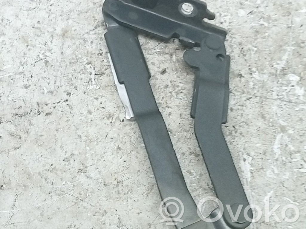 Balamale capotă   791267