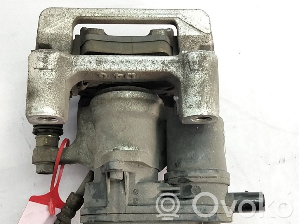 Takajarrusatula   58311K4A10