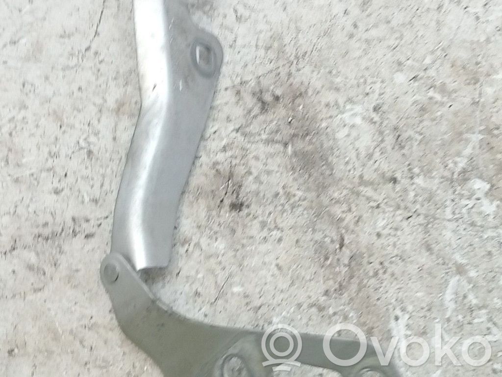Opel Vectra B Cerniere del vano motore/cofano