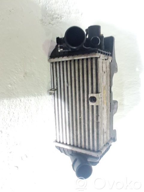 Hyundai i20 Active Radiatore intercooler