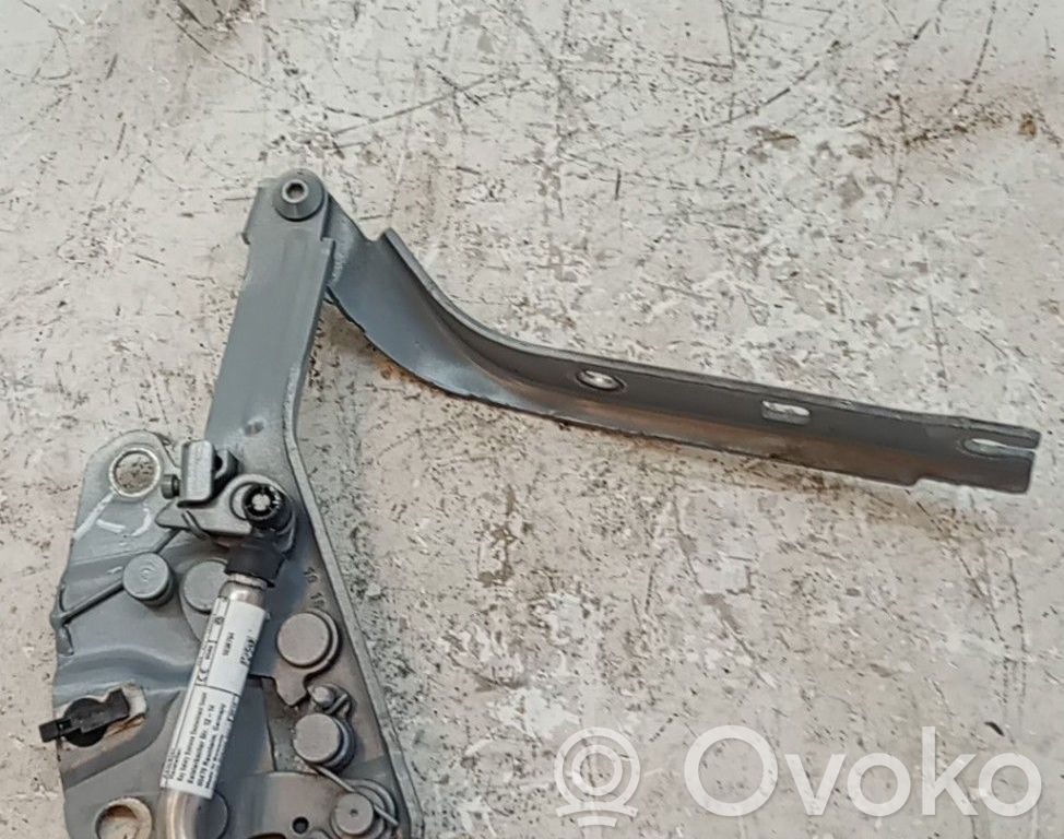 Volkswagen Tiguan Cerniere del vano motore/cofano