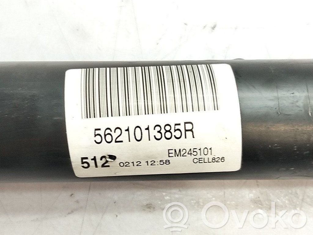 Ammortizzatore posteriore   562101385R