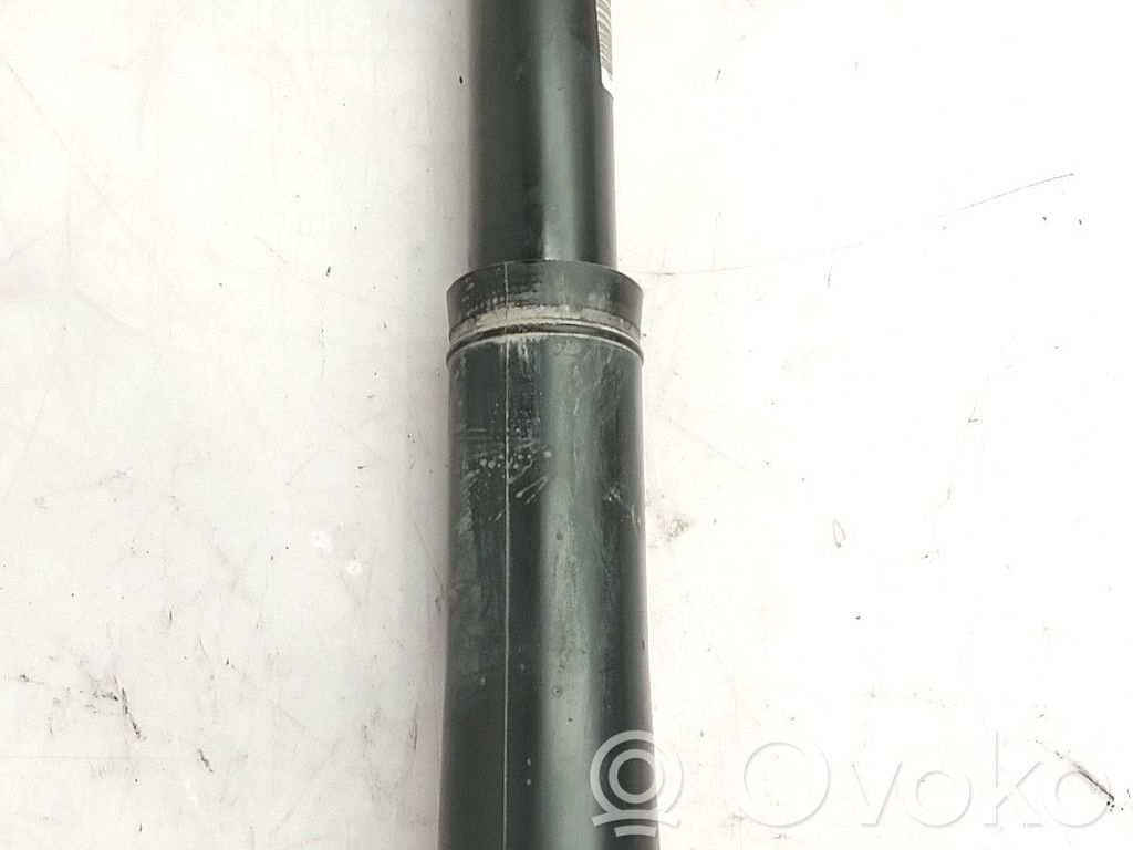 Renault Megane IV Amortizor spate 