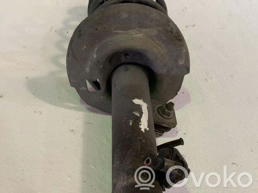 Stoßdämpfer vorne   520857
