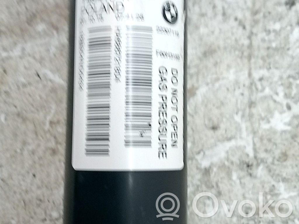 Stoßdämpfer hinten   33526867218