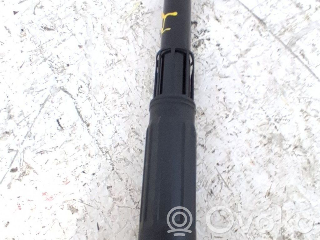 Rear shock absorber/damper   10598787