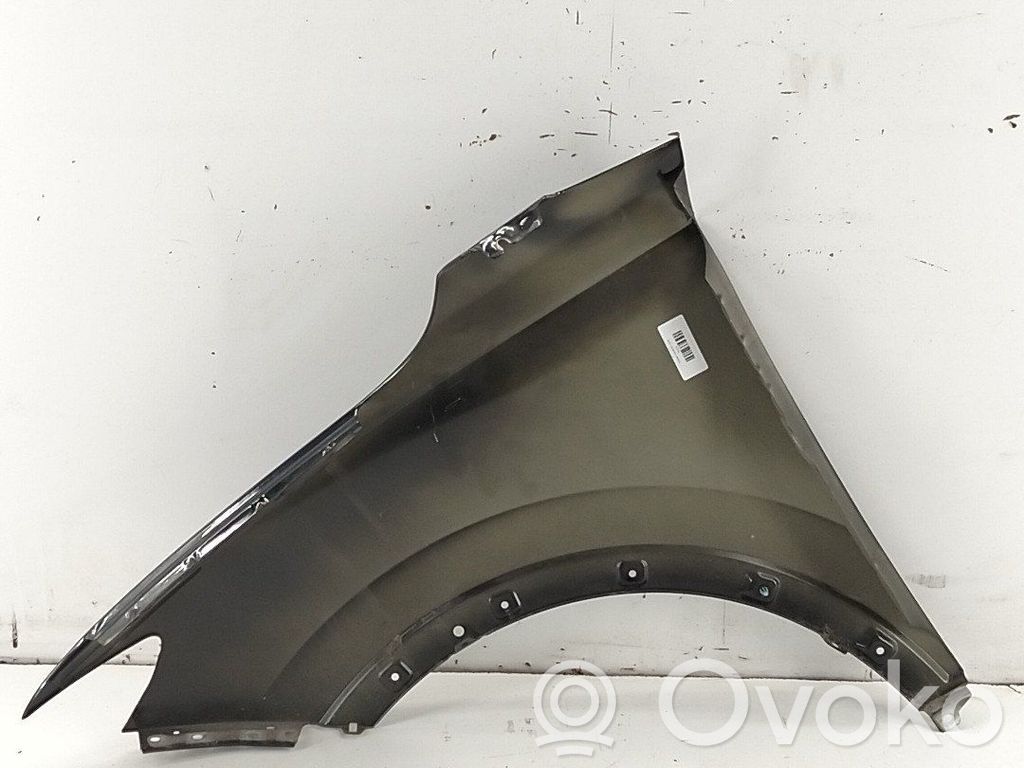 Radlauf vorne   10292956