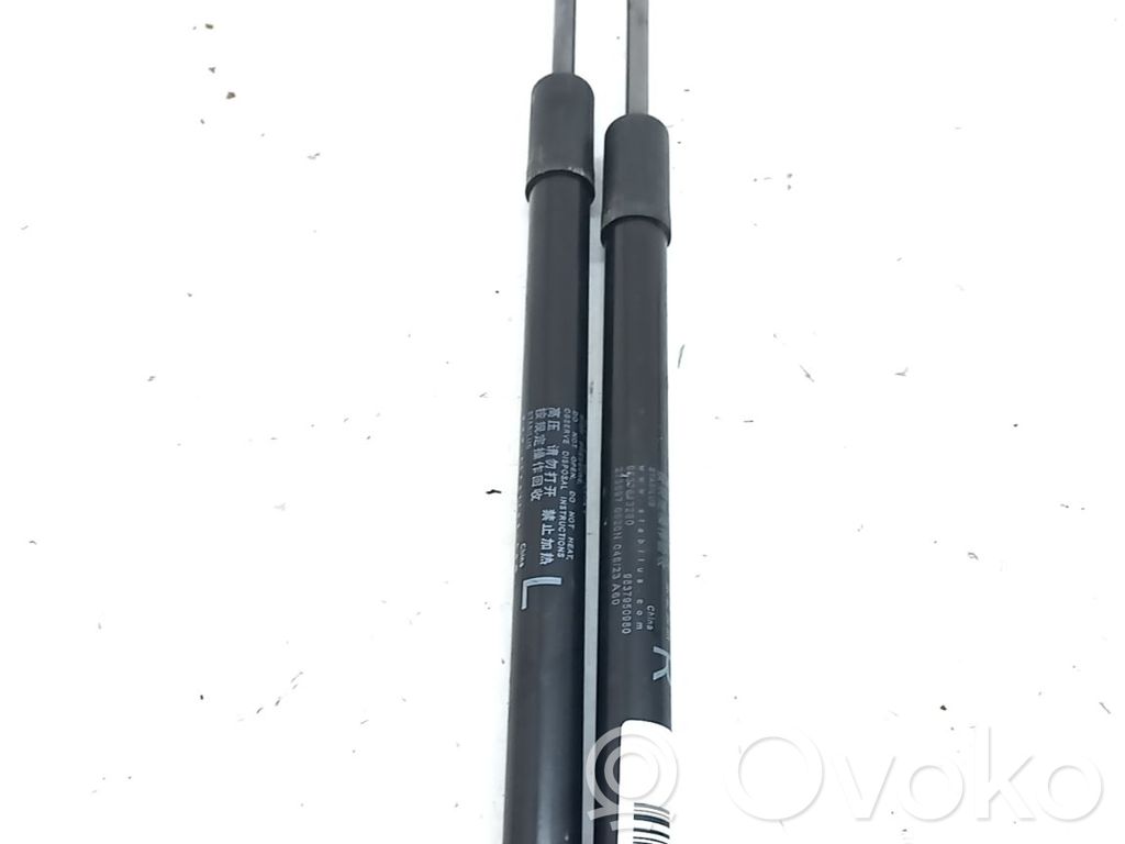 Citroen C5 X Tampone in gomma portellone posteriore/bagagliaio