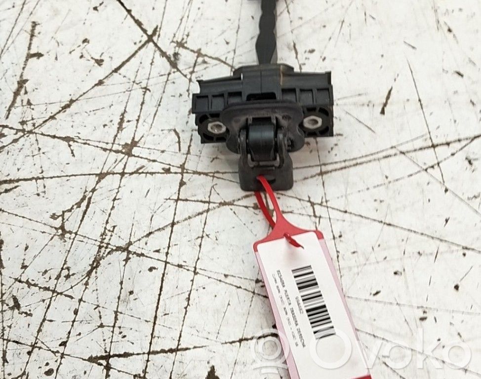 Cupra Born Bisagra inferior de la puerta trasera 