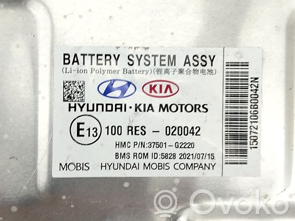 Hyundai Ioniq Bateria do samochodu elektrycznego / hybrydowego 