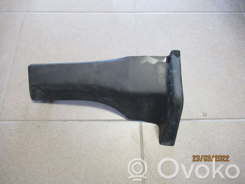 Dodge RAM Rear mudguard 