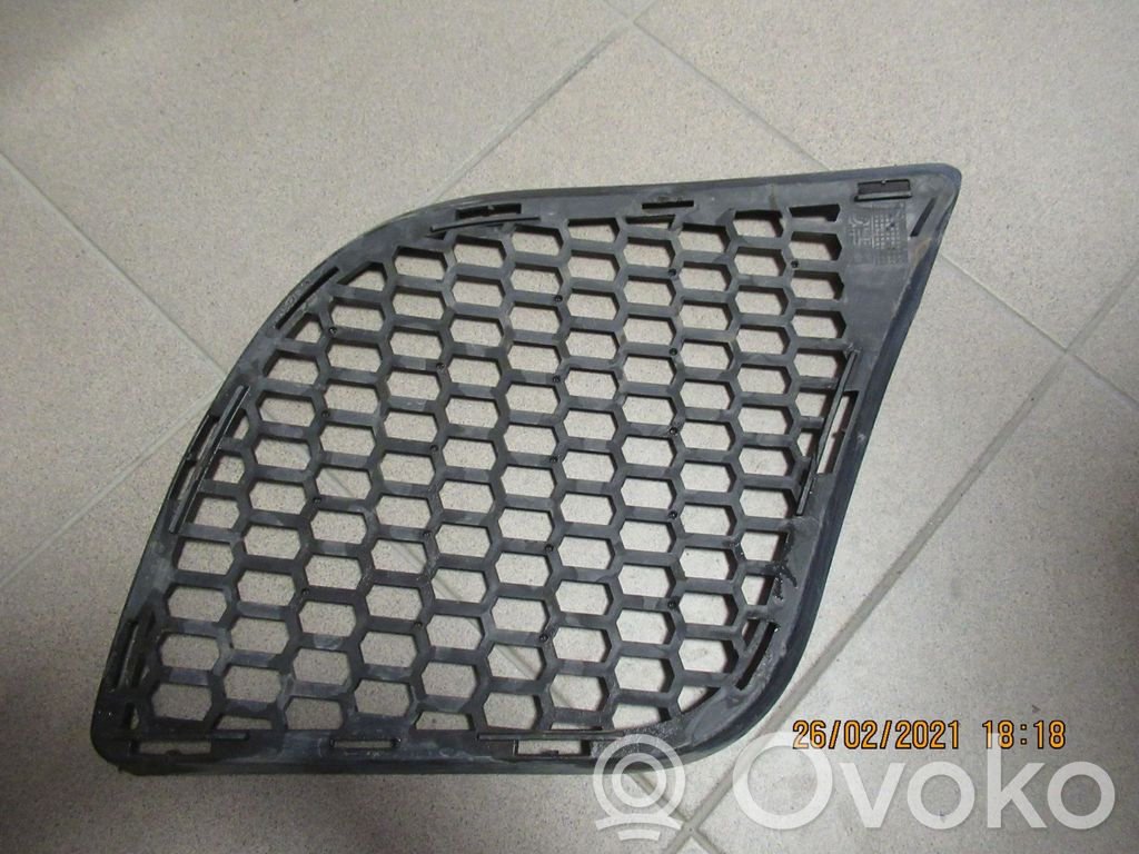 BMW X6 E71 Front bumper lower grill 