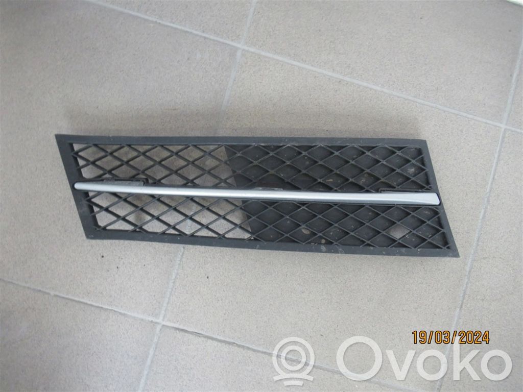 BMW 5 F10 F11 Front bumper lower grill 