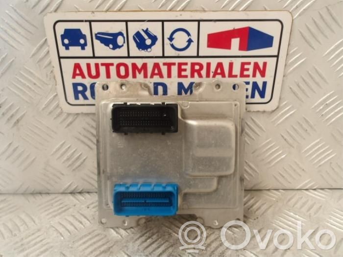 Sterownik / Moduł ECU   12673058,12673058