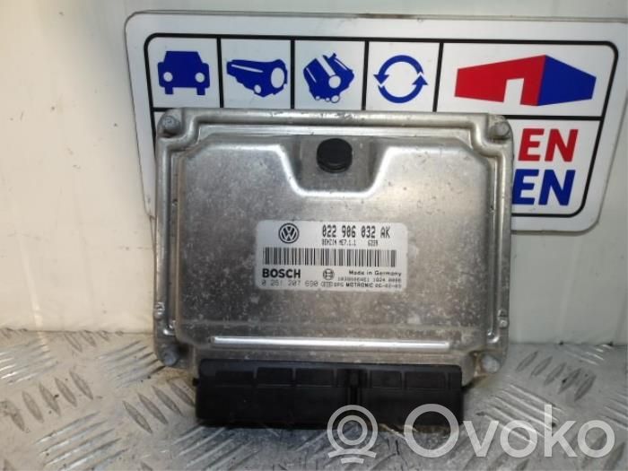 Volkswagen Phaeton Engine control unit/module 