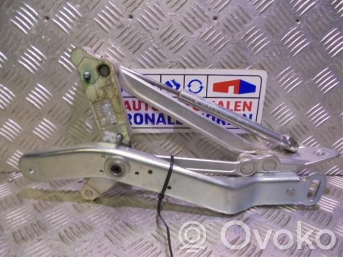 Volkswagen Phaeton Tailgate/trunk/boot hinge 