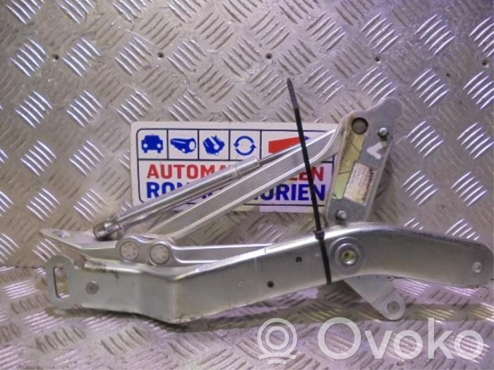 Volkswagen Phaeton Tailgate/trunk/boot hinge 