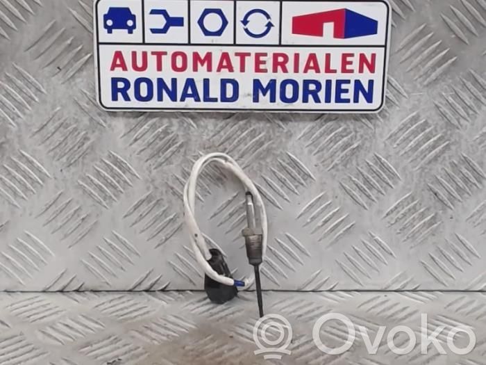 Ford Fiesta Išmetimo daviklis 