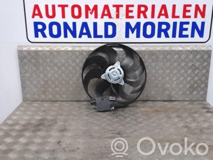 Ford C-MAX II Ventiliatorių komplektas 