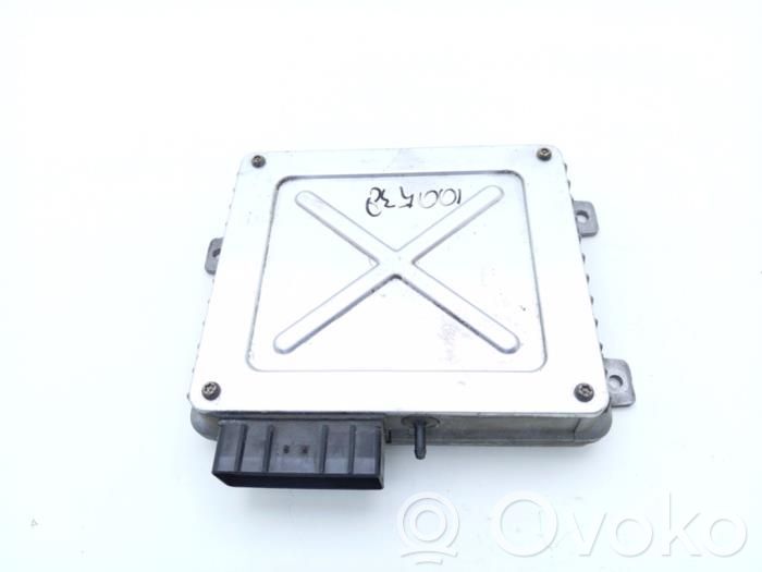 Rover Rover Engine control unit/module 