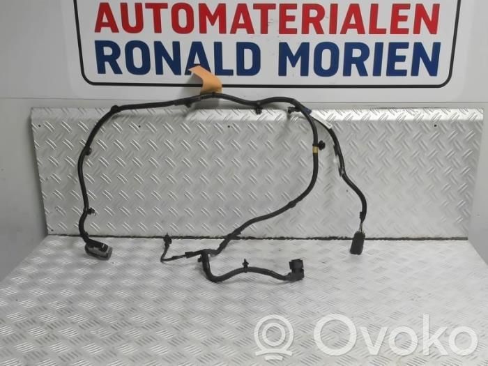 Engine installation wiring loom   148905101D