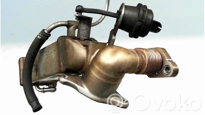 BMW 3 E92 E93 EGR aušintuvas 