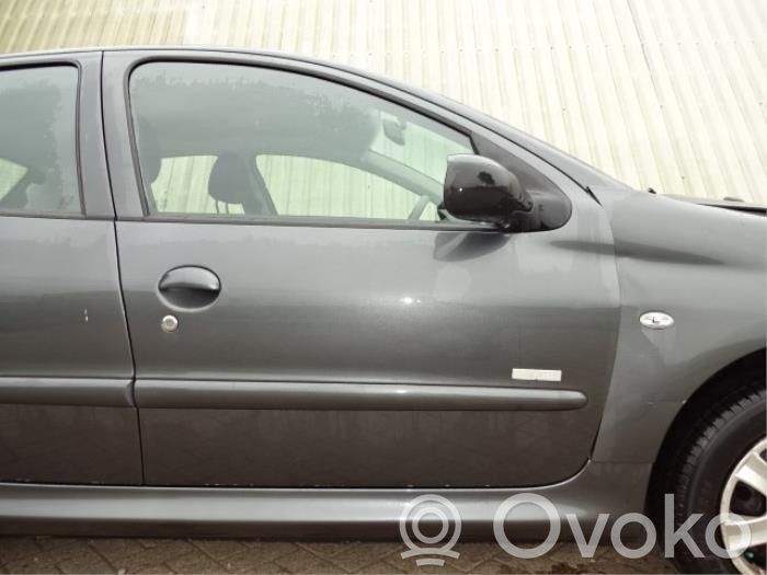 Peugeot 206 Drzwi przednie 
