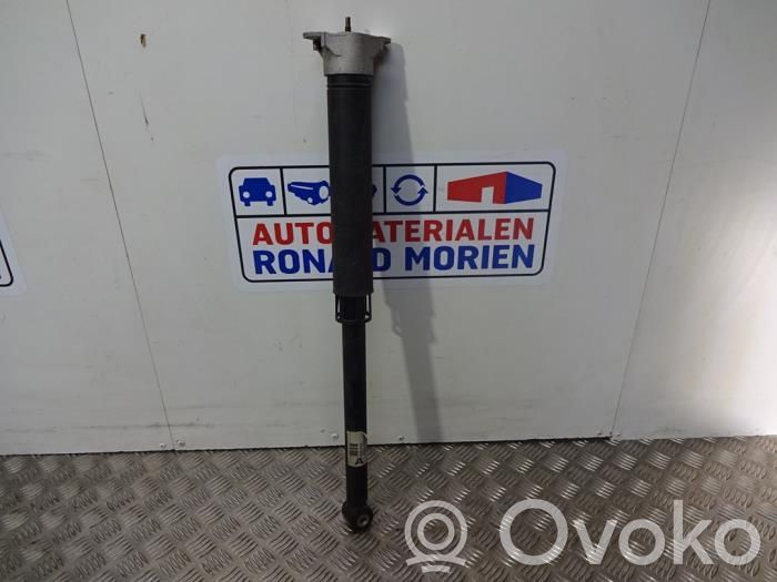 Ford Fiesta Amortizor spate 