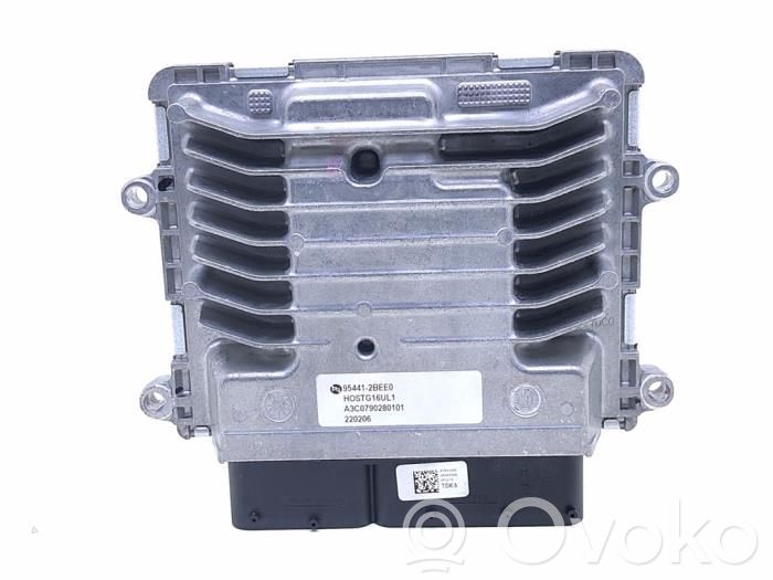Engine control unit/module   954412BEE0