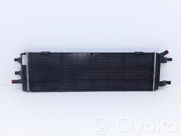 Renault Austral Coolant radiator 