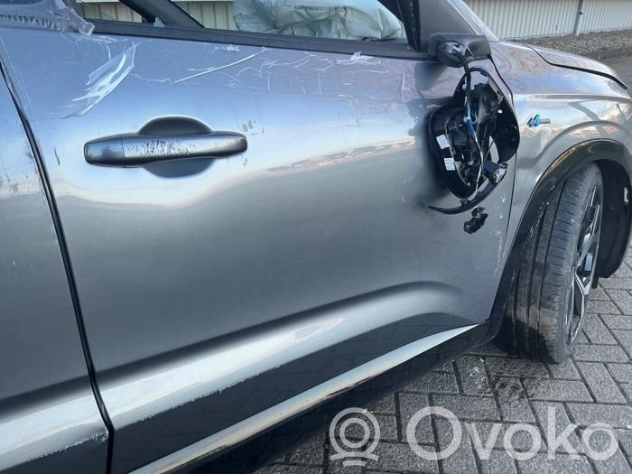 Renault Austral Puerta delantera 